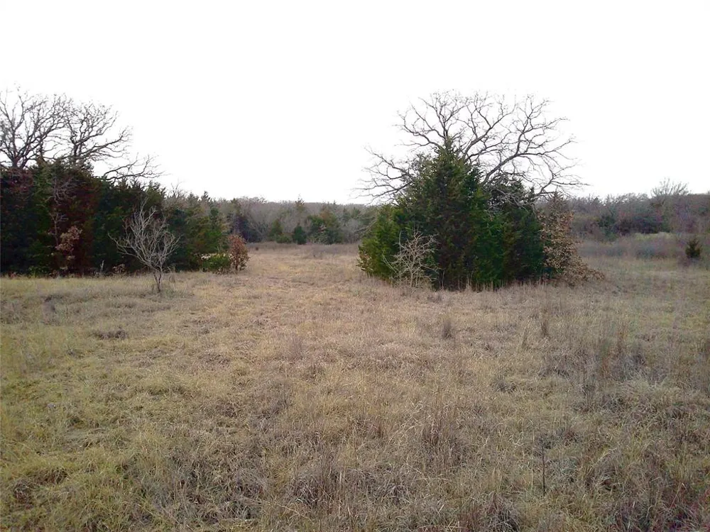 State Hwy 59 Montague, TX 76251