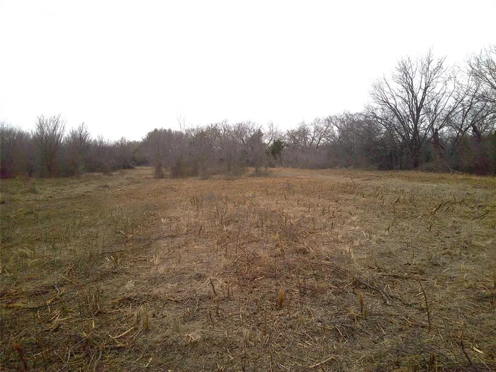 State Hwy 59 Montague, TX 76251