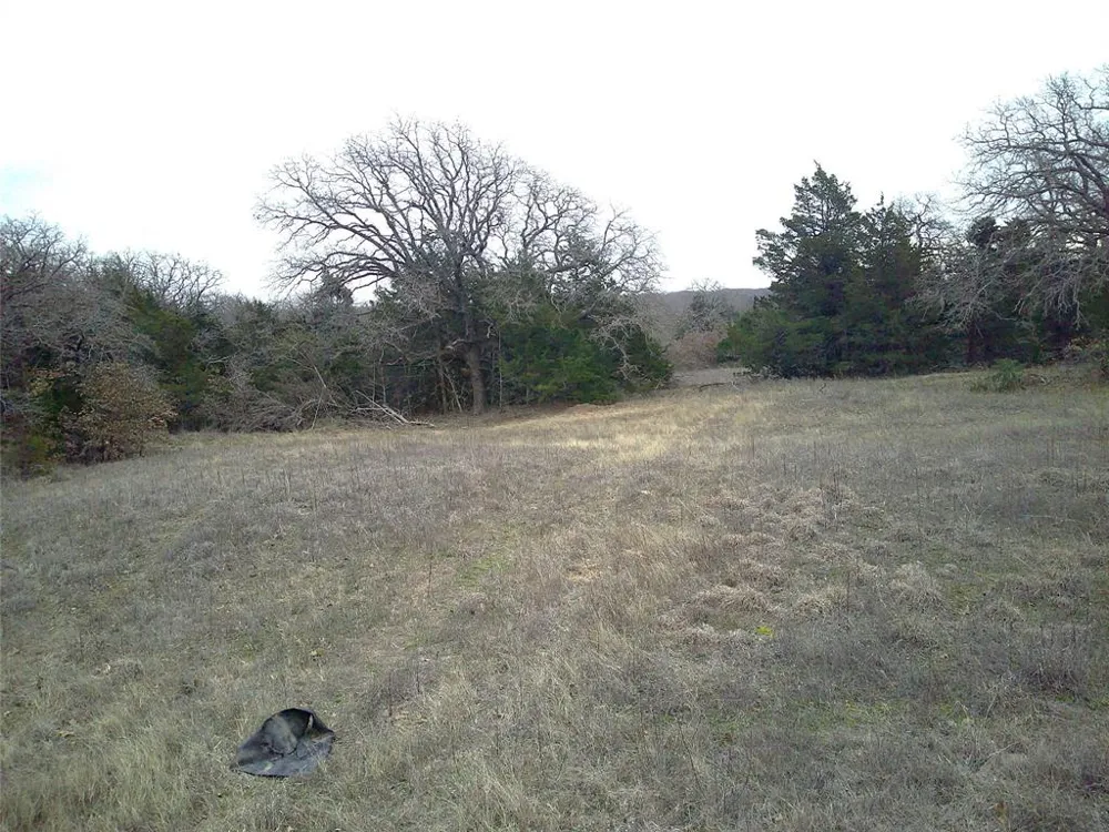 State Hwy 59 Montague, TX 76251