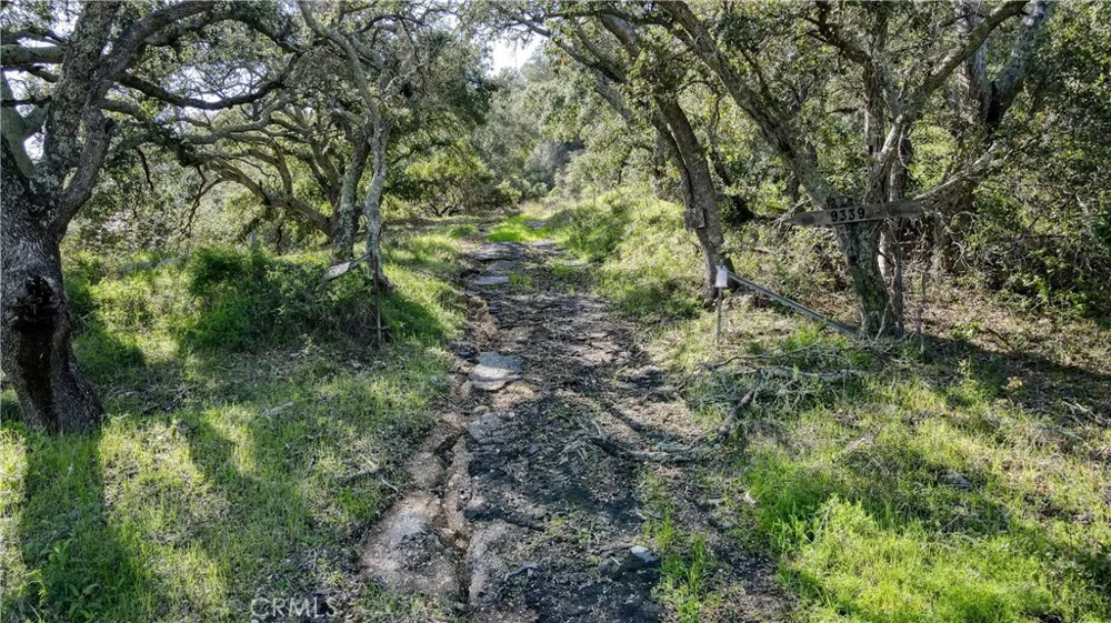 9339 Temettate Drive Santa Maria, CA 93454