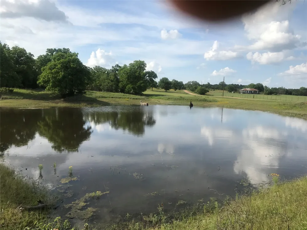 504 Sandy School Road Johnson City, TX 78636