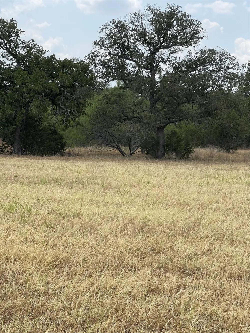 504 Sandy School Road Johnson City, TX 78636