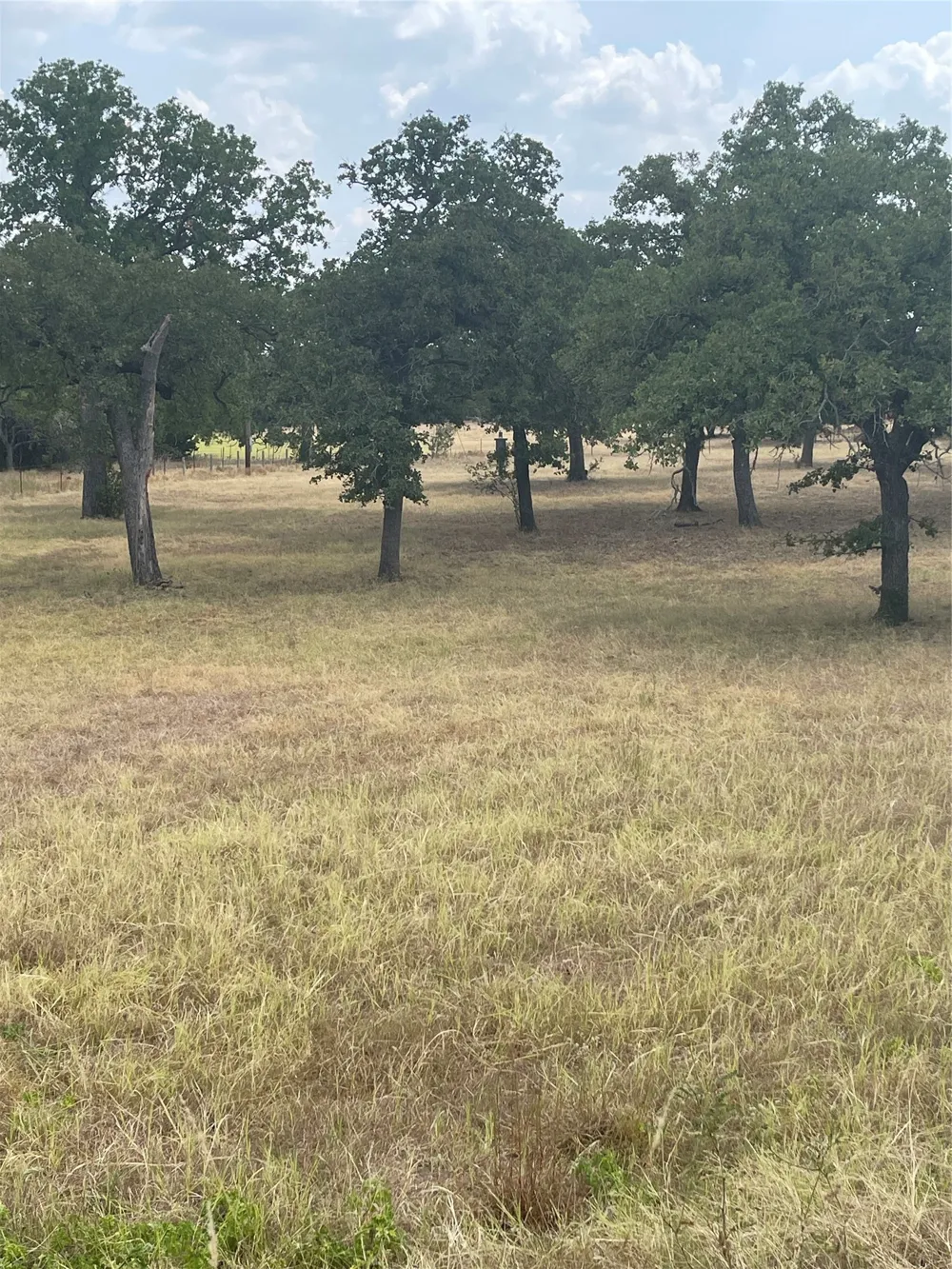 504 Sandy School Road Johnson City, TX 78636