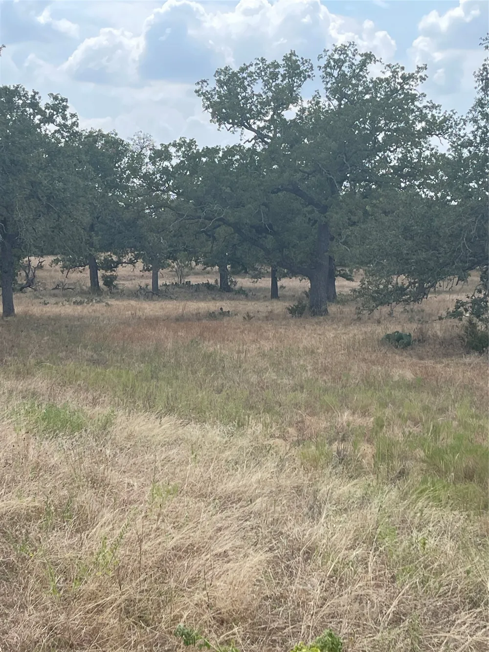 504 Sandy School Road Johnson City, TX 78636