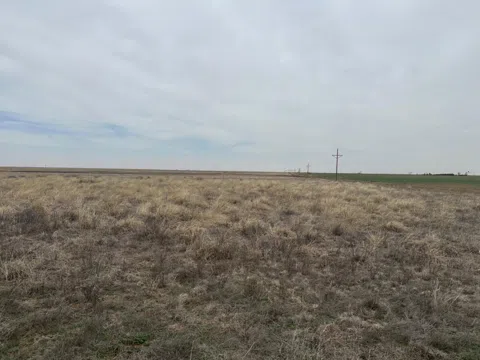 2 Colorado