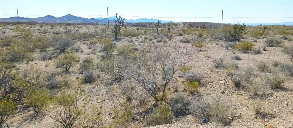 004 Encinitas Searchlight, NV 89046