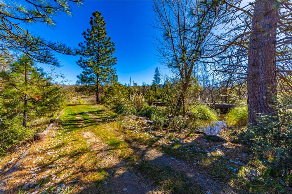 Wortham Road Oakhurst, CA 93644