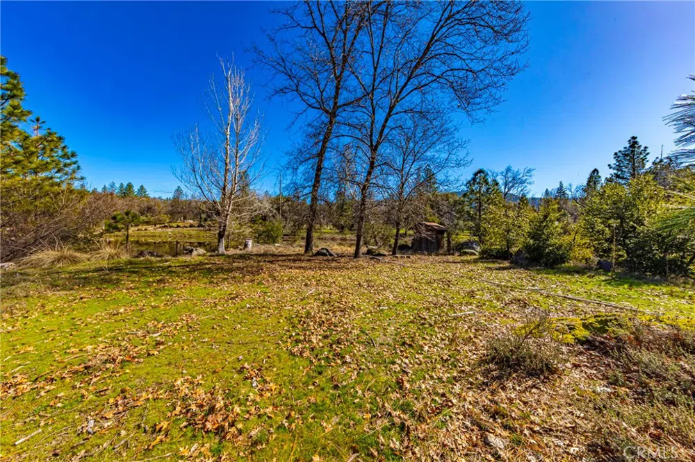 Wortham Road Oakhurst, CA 93644
