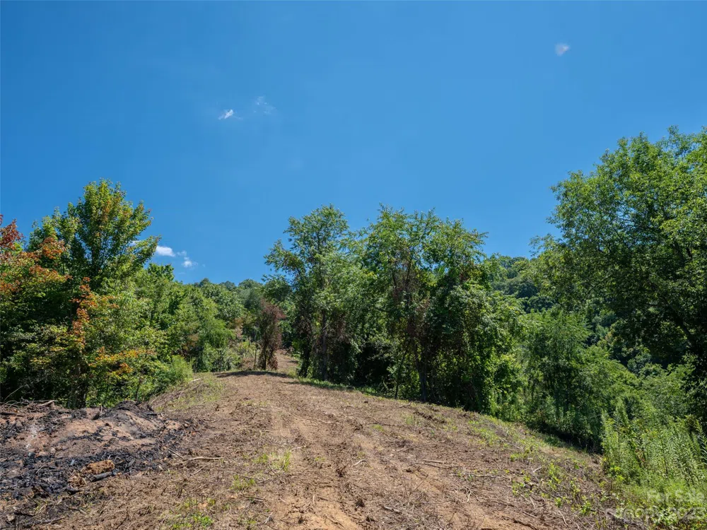 00 Crabtree Mountain Road Clyde, NC 28721