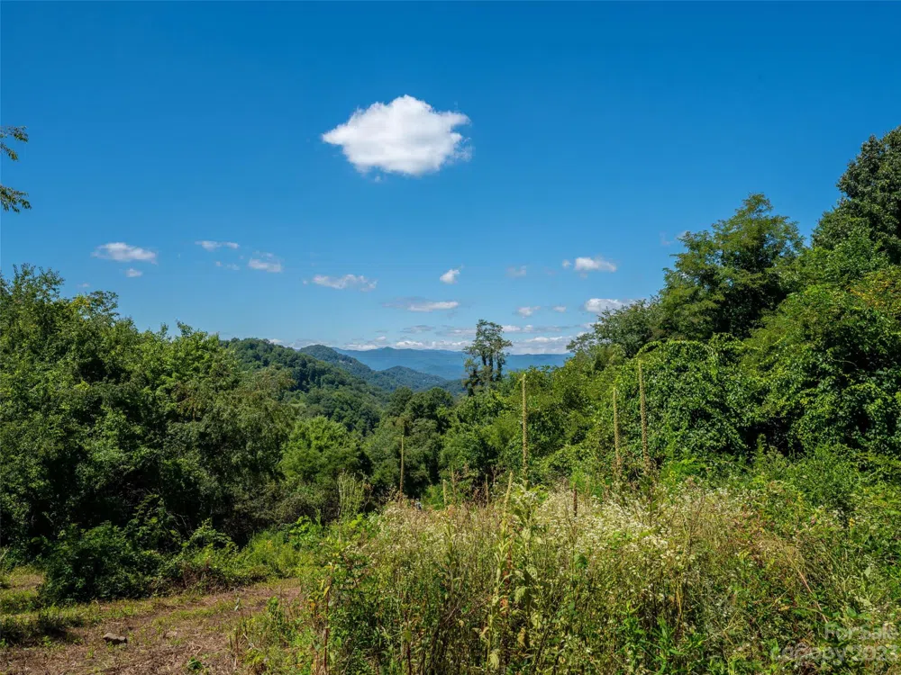 00 Crabtree Mountain Road Clyde, NC 28721