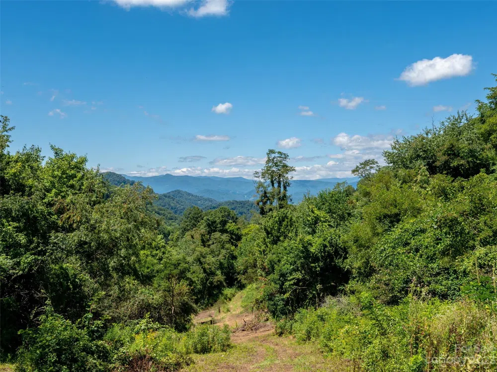 00 Crabtree Mountain Road Clyde, NC 28721