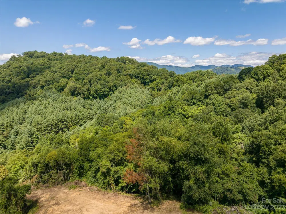 00 Crabtree Mountain Road Clyde, NC 28721