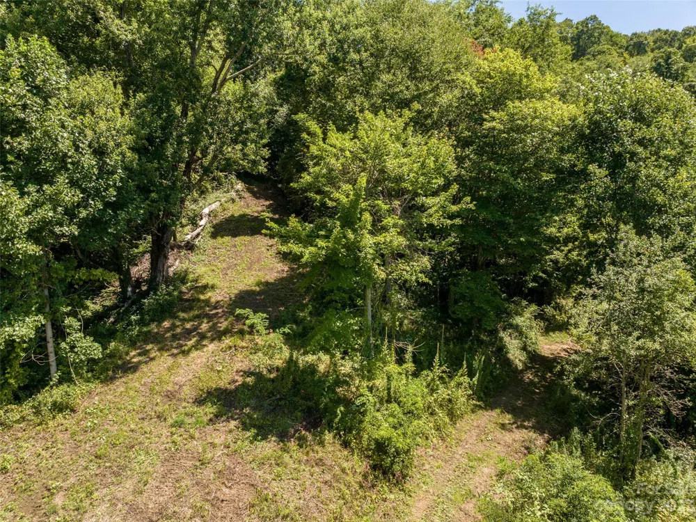 00 Crabtree Mountain Road Clyde, NC 28721