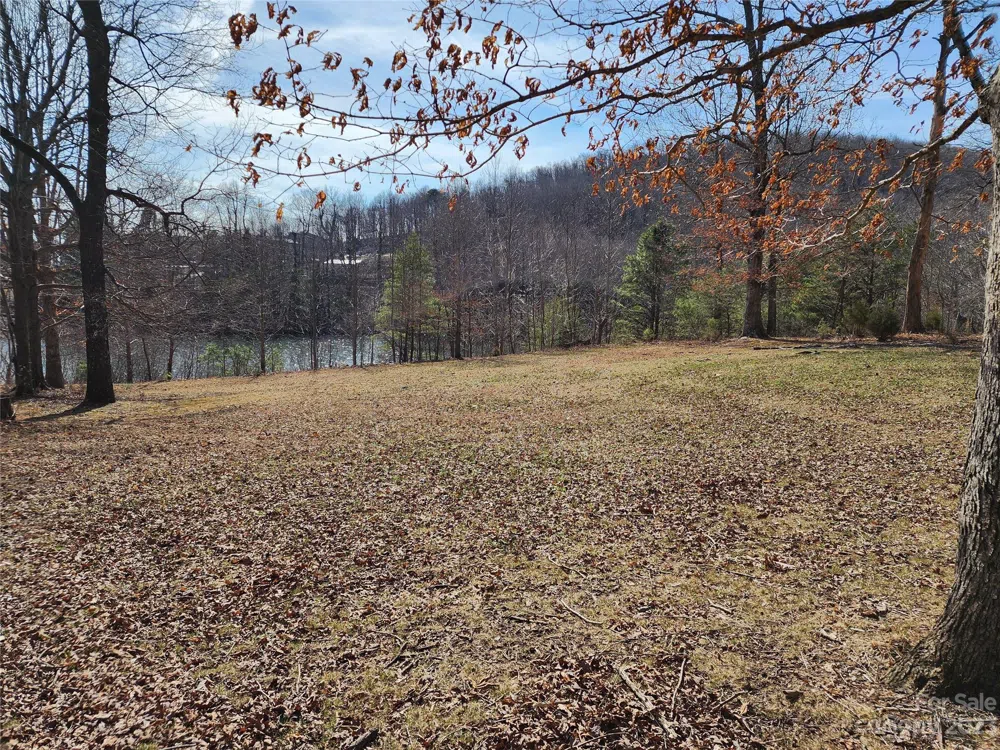 Lot 77 Three Bridges Drive Columbus, NC 28722