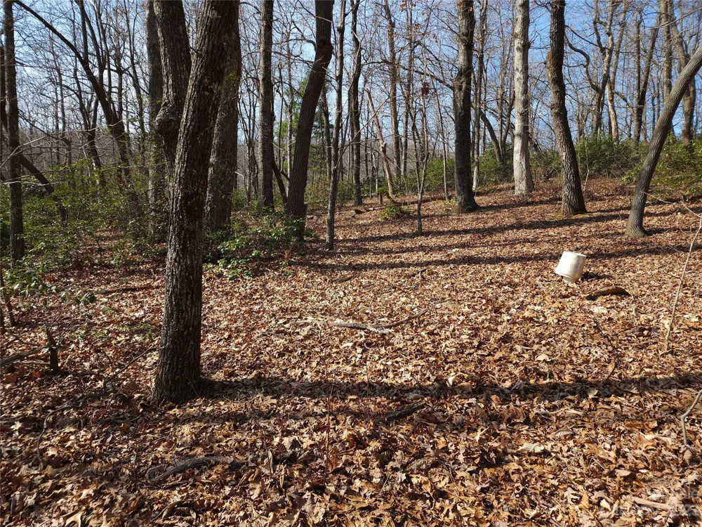 Lot 77 Three Bridges Drive Columbus, NC 28722