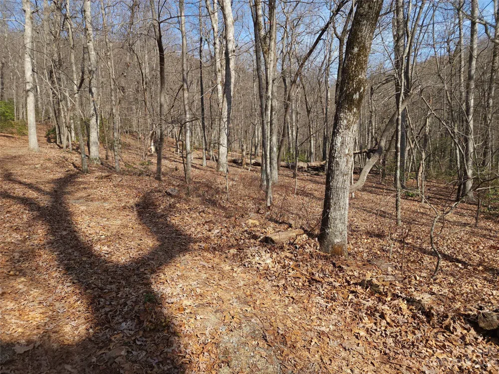 Lot 77 Three Bridges Drive Columbus, NC 28722