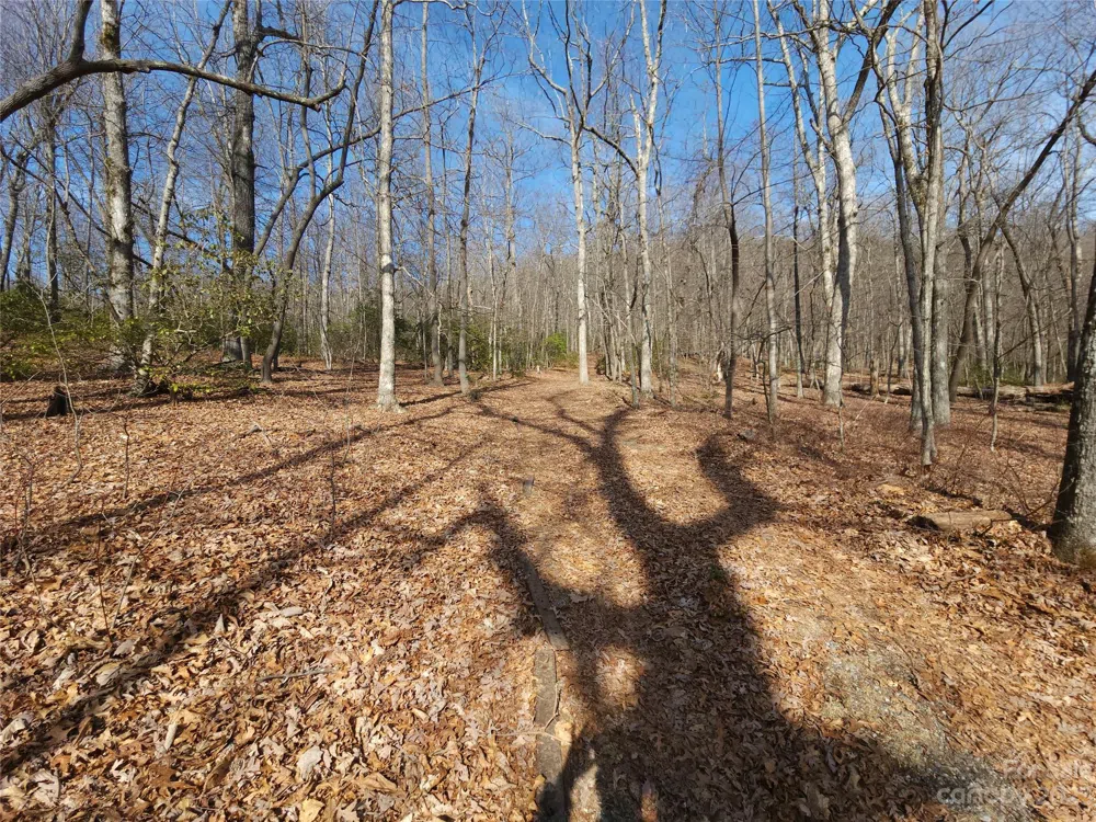 Lot 77 Three Bridges Drive Columbus, NC 28722