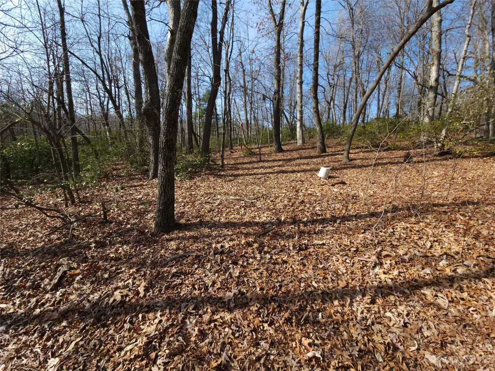 Lot 77 Three Bridges Drive Columbus, NC 28722