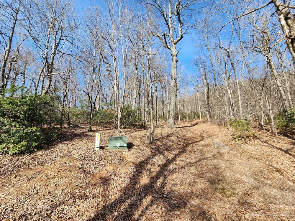 Lot 77 Three Bridges Drive Columbus, NC 28722