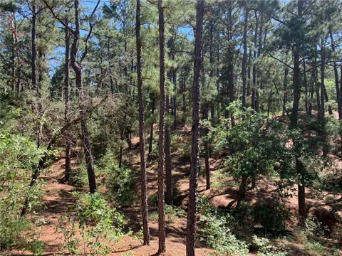 Wahane Lane