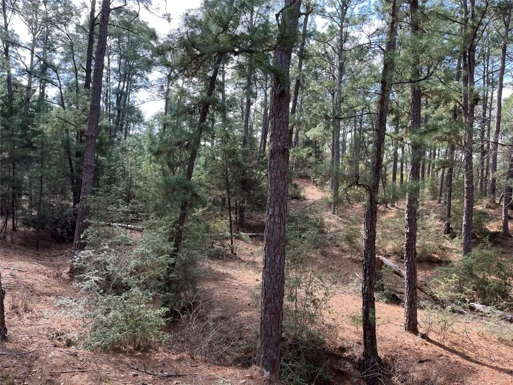 Wahane Lane Bastrop, TX 78602