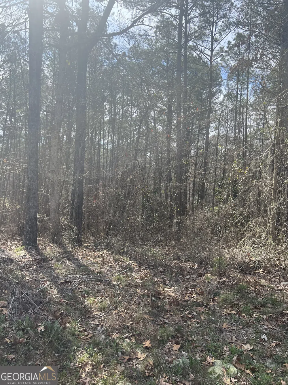 7429 Pleasant Hill RD Lithonia, GA 30058