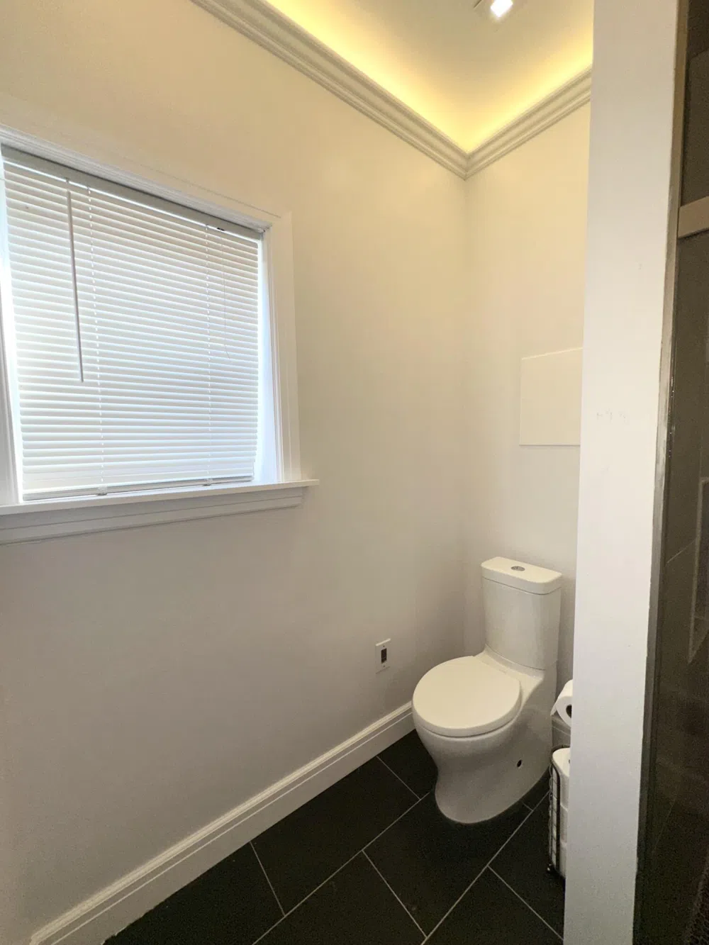 1110 Concord Avenue #3 Detroit, MI 48207