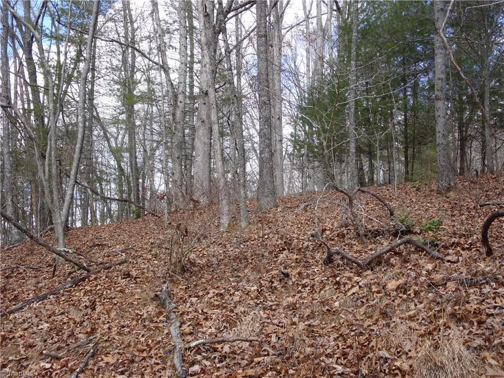 TBD Happy Woods Road Grassy Creek, NC 28631