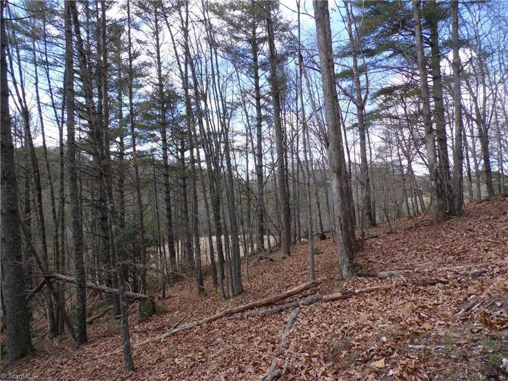 TBD Happy Woods Road Grassy Creek, NC 28631