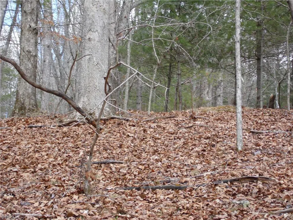 TBD Happy Woods Road Grassy Creek, NC 28631