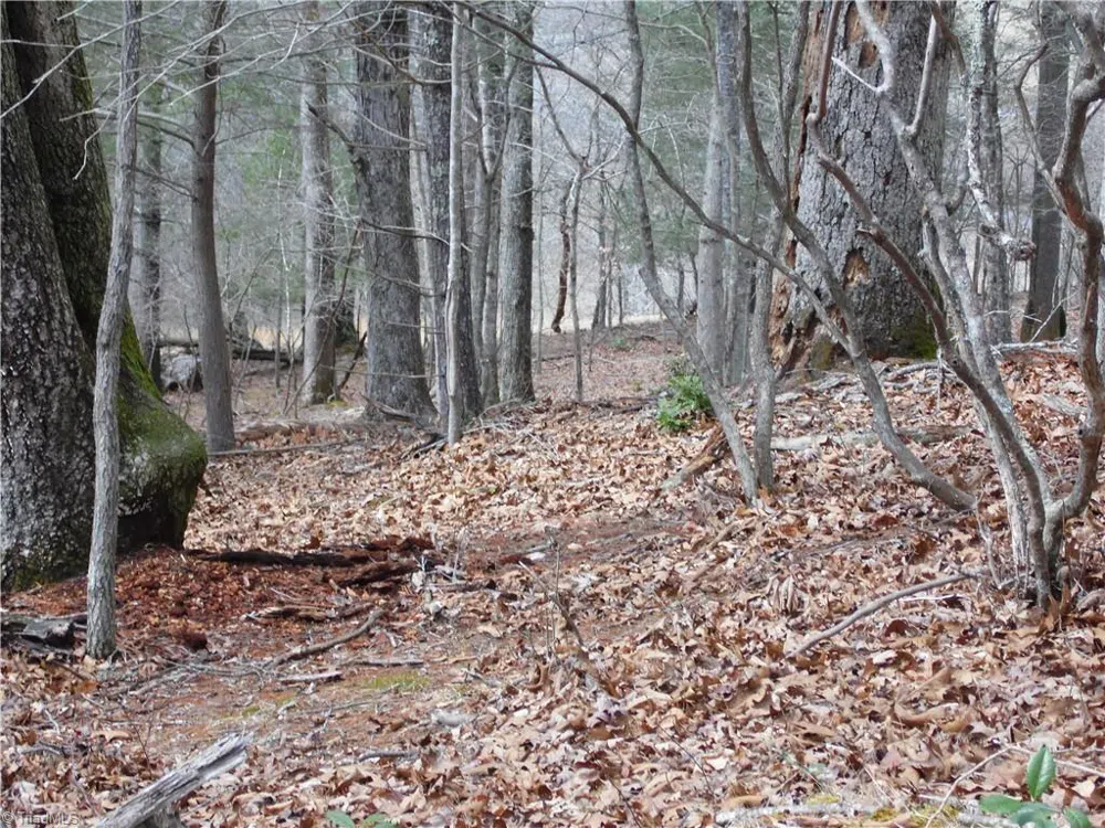TBD Happy Woods Road Grassy Creek, NC 28631