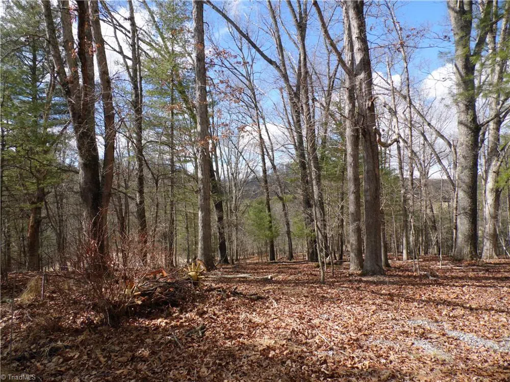 TBD Happy Woods Road Grassy Creek, NC 28631
