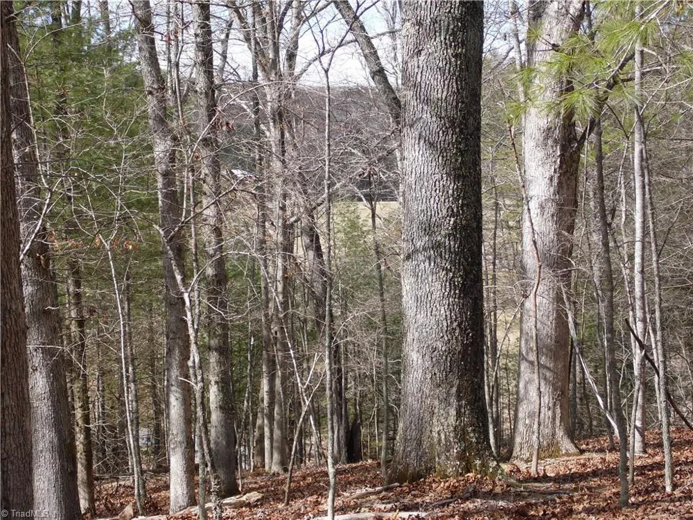 TBD Happy Woods Road Grassy Creek, NC 28631