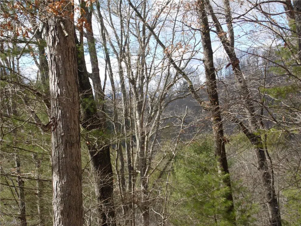 TBD Happy Woods Road Grassy Creek, NC 28631