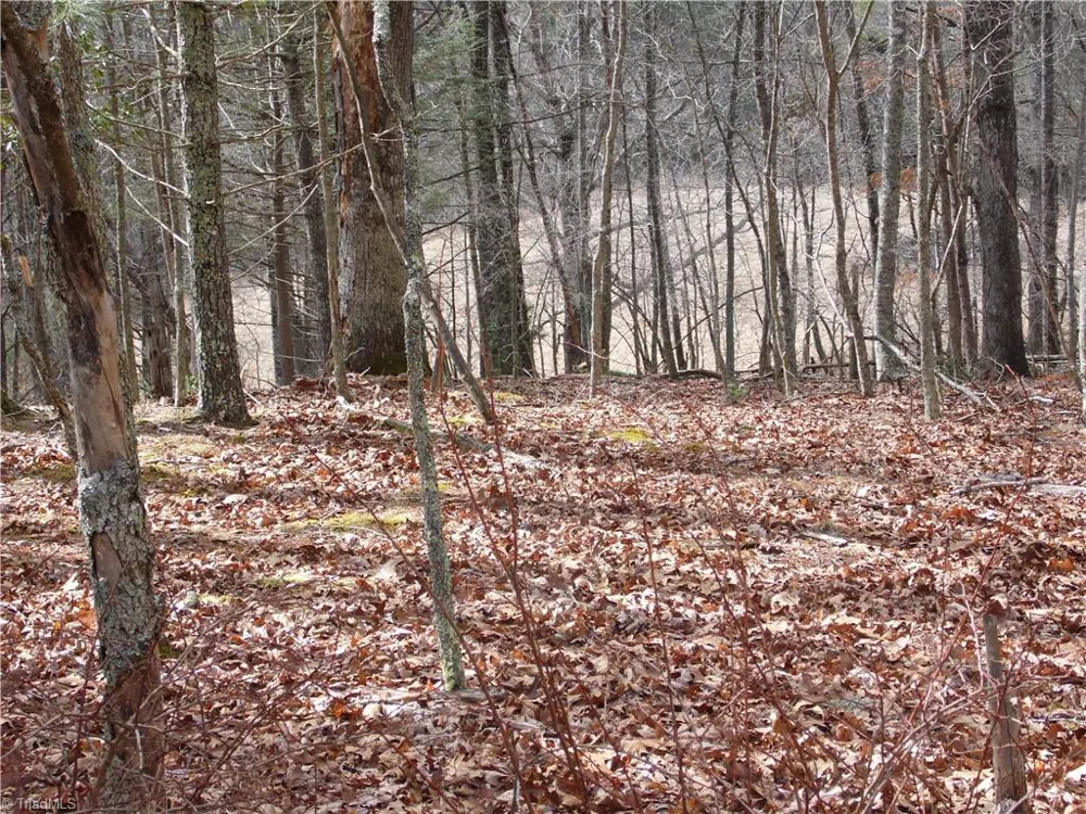 TBD Happy Woods Road Grassy Creek, NC 28631