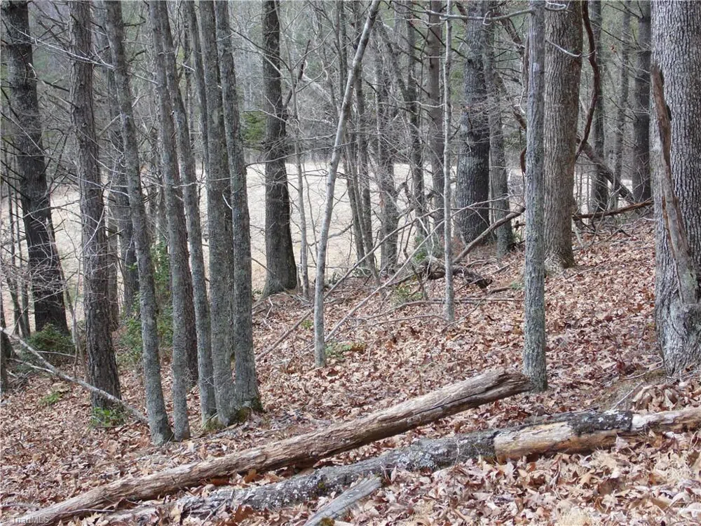 TBD Happy Woods Road Grassy Creek, NC 28631
