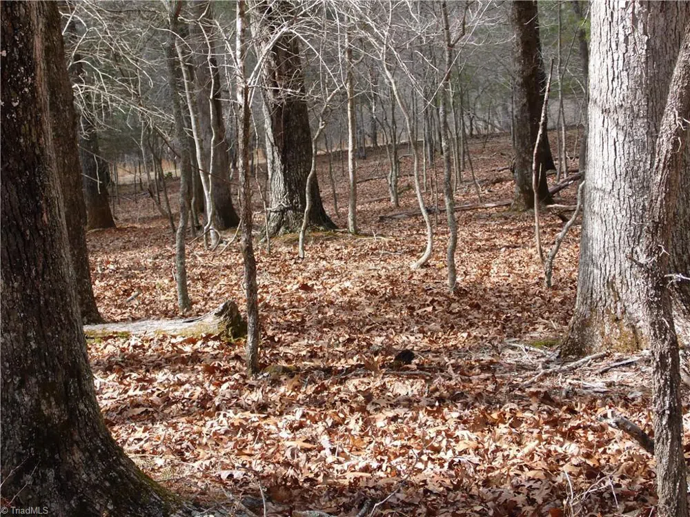 TBD Happy Woods Road Grassy Creek, NC 28631