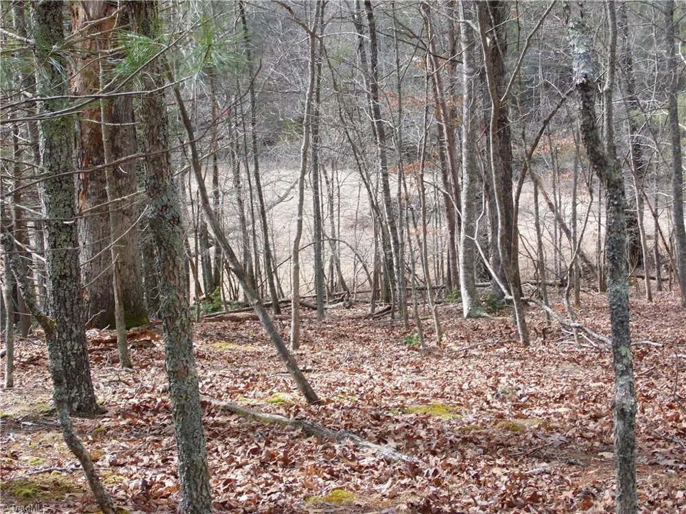 TBD Happy Woods Road Grassy Creek, NC 28631