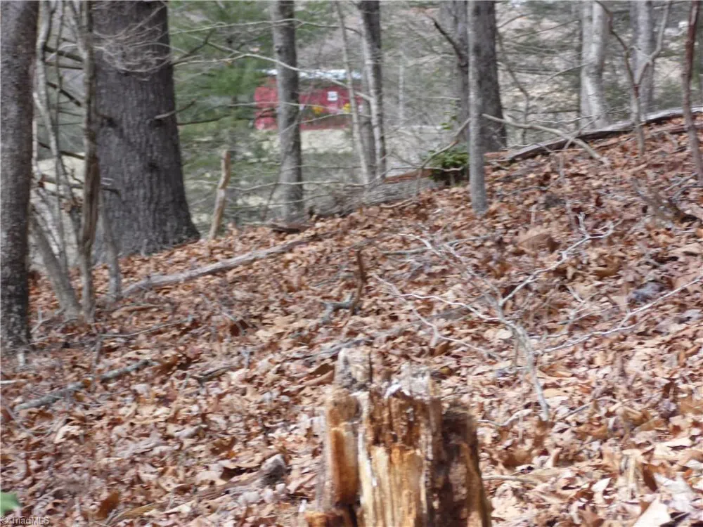 TBD Happy Woods Road Grassy Creek, NC 28631