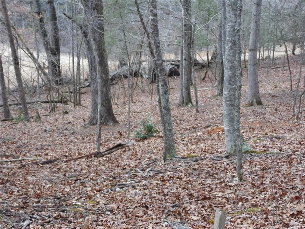 TBD Happy Woods Road Grassy Creek, NC 28631