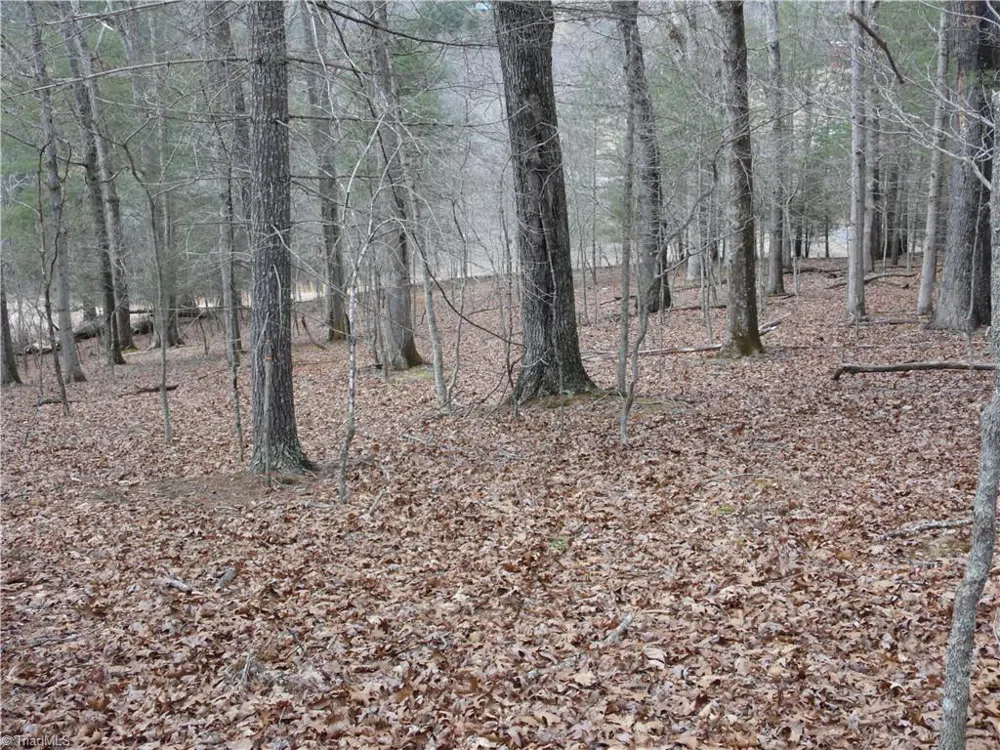 TBD Happy Woods Road Grassy Creek, NC 28631