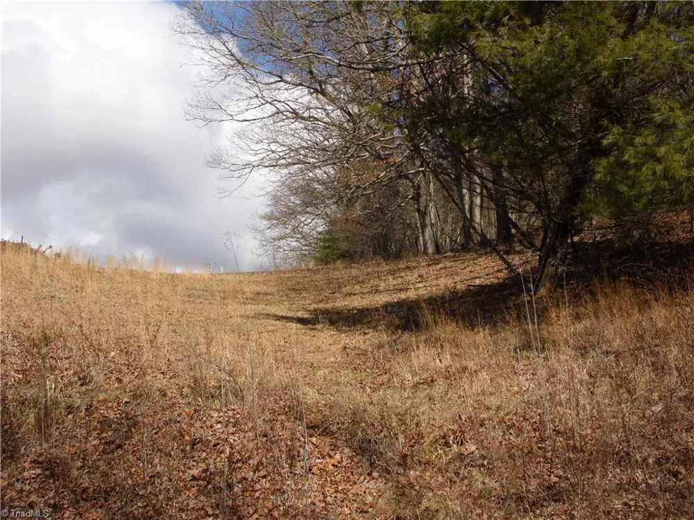 TBD Happy Woods Road Grassy Creek, NC 28631