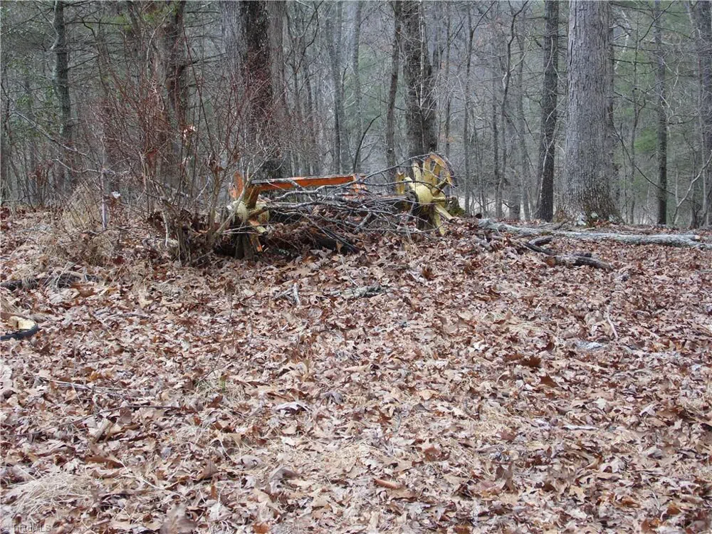 TBD Happy Woods Road Grassy Creek, NC 28631