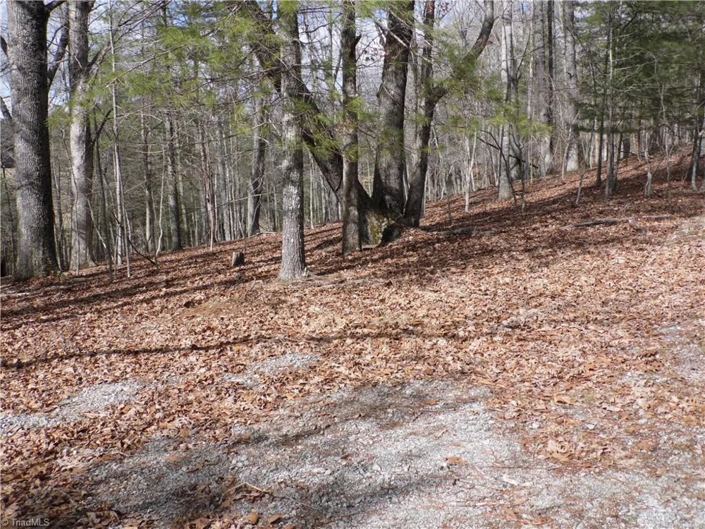 TBD Happy Woods Road Grassy Creek, NC 28631