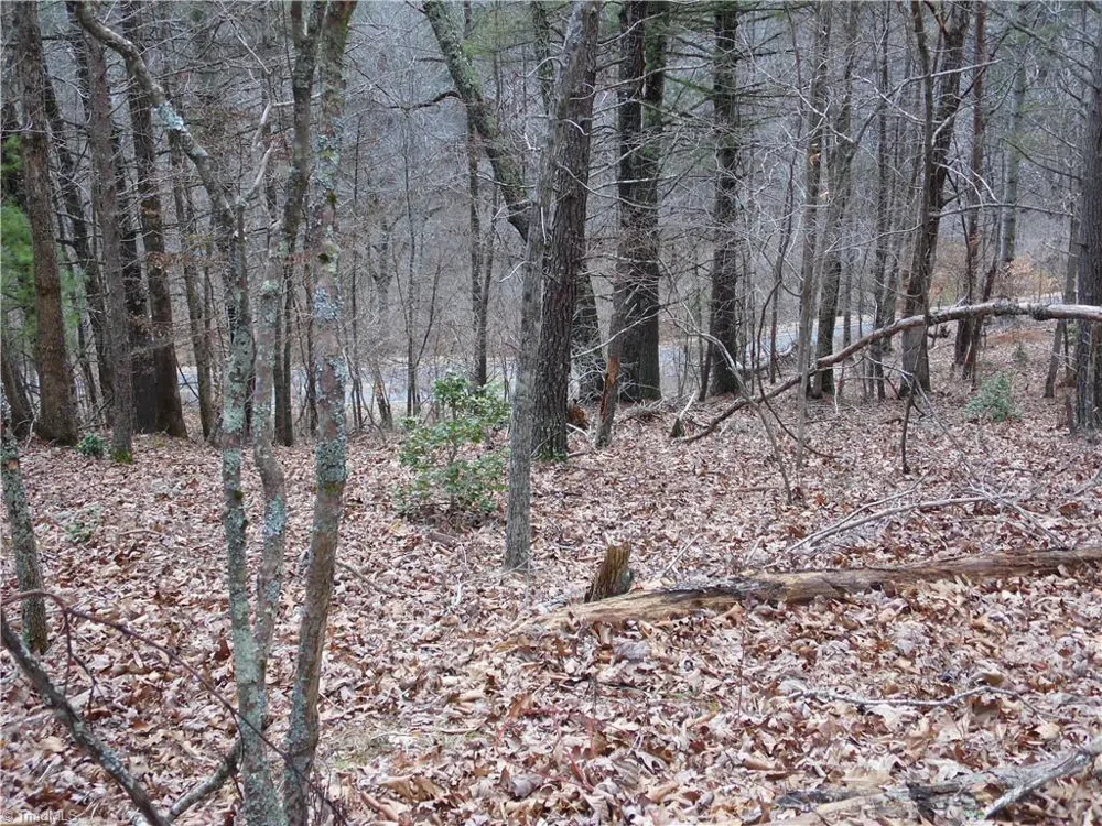 TBD Happy Woods Road Grassy Creek, NC 28631