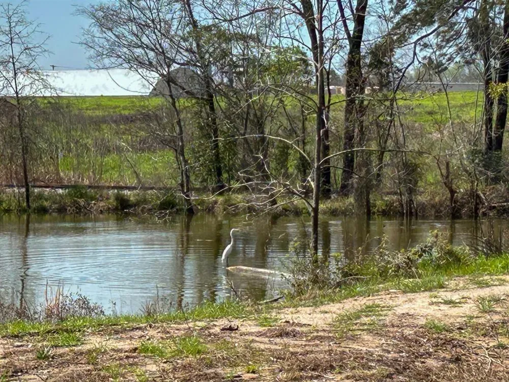 Kurth Drive Lufkin, TX 75904