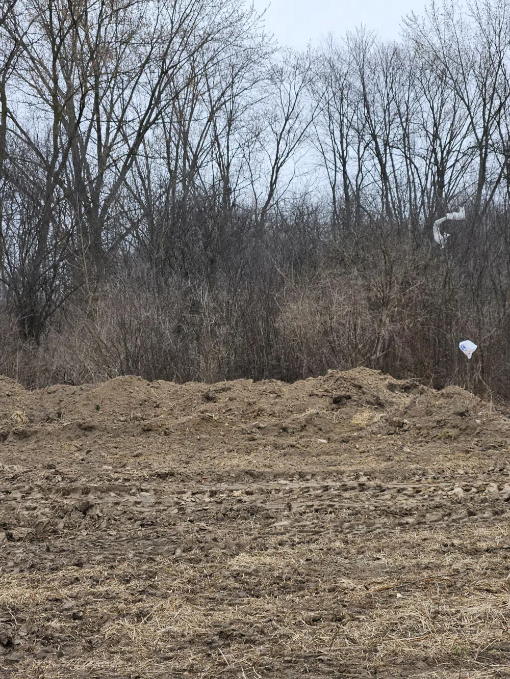 Spring Arbor Road Jackson, MI 49201
