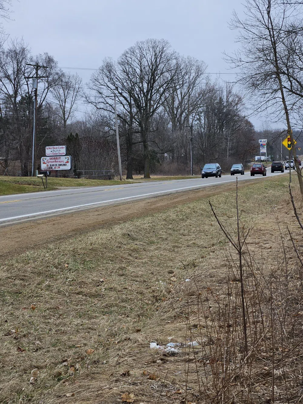 Spring Arbor Road Jackson, MI 49201