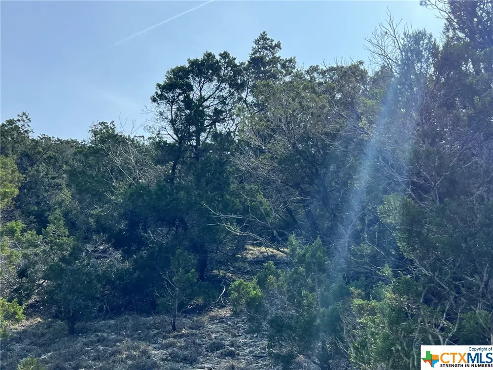 1081 Hillside View Drive New Braunfels, TX 78132