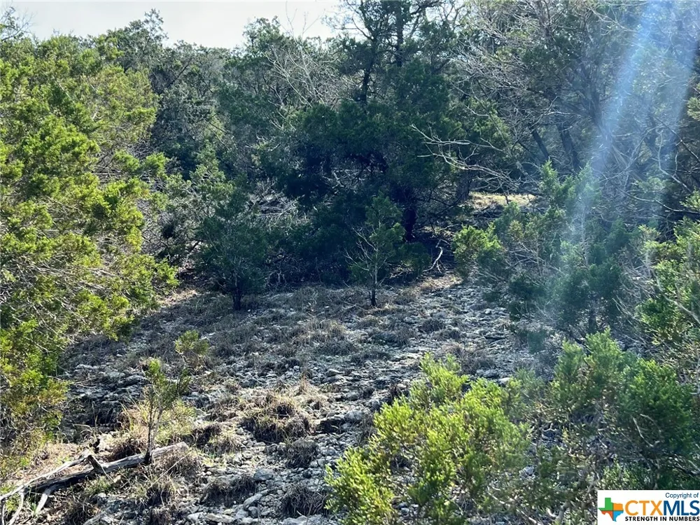 1081 Hillside View Drive New Braunfels, TX 78132